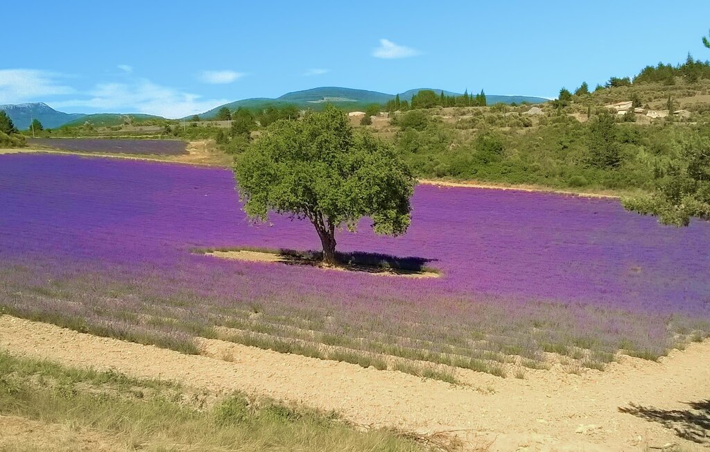 Ferienhaus - Apt , Frankreich - FPP026 25