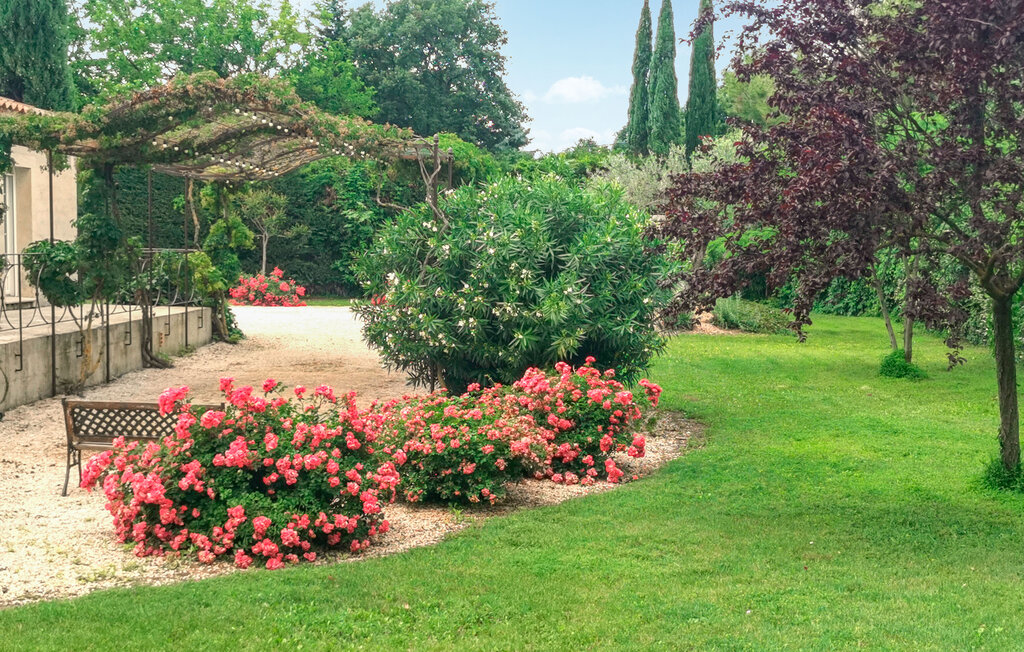 Feriehuse - Carpentras , Frankrig - FPP057 12