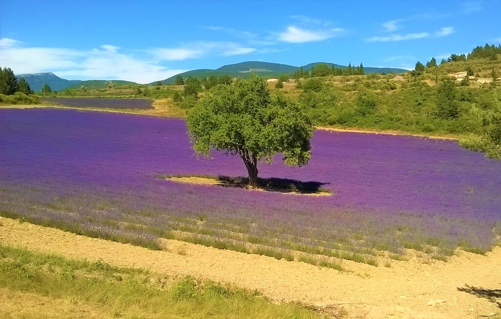 Location de vacances - Bédoin , France - FPP060 9