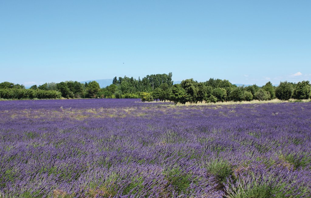 Ferienhaus - Valreas , Frankreich - FPV625 20