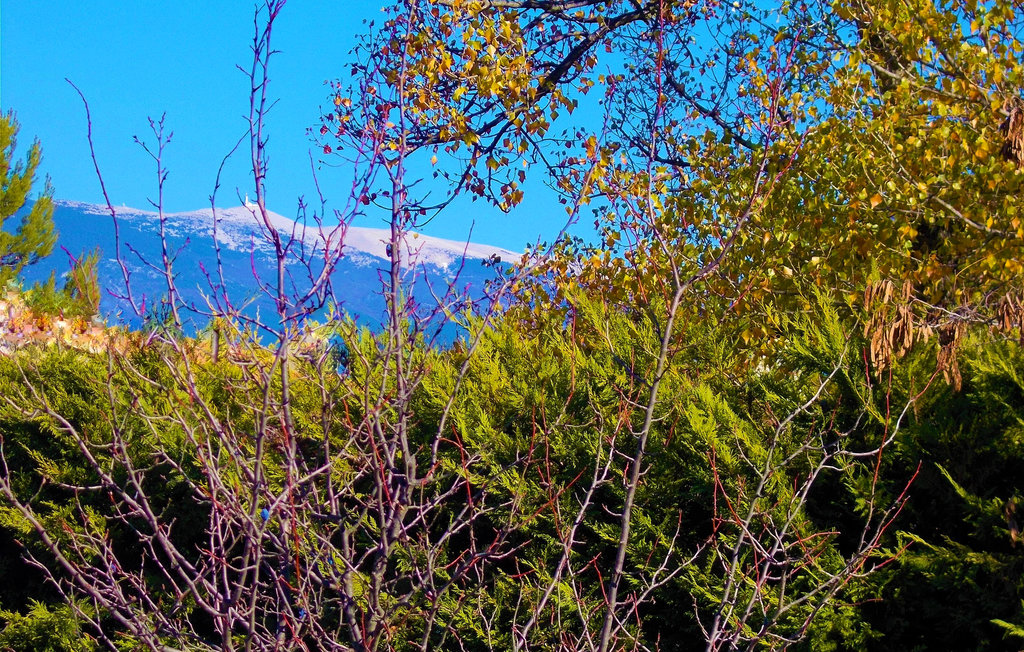 Feriehuse - Mazan , Frankrig - FPV743 25