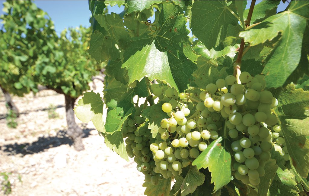 Ferienhaus - Caromb , Frankreich - FPV421 28