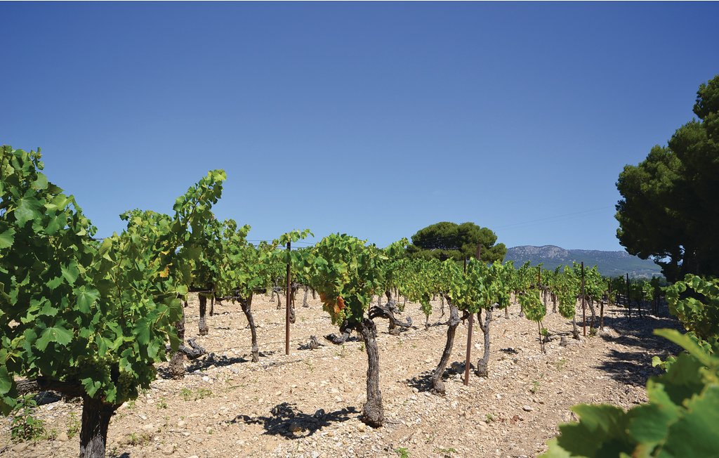 Ferienhaus - Caromb , Frankreich - FPV421 29