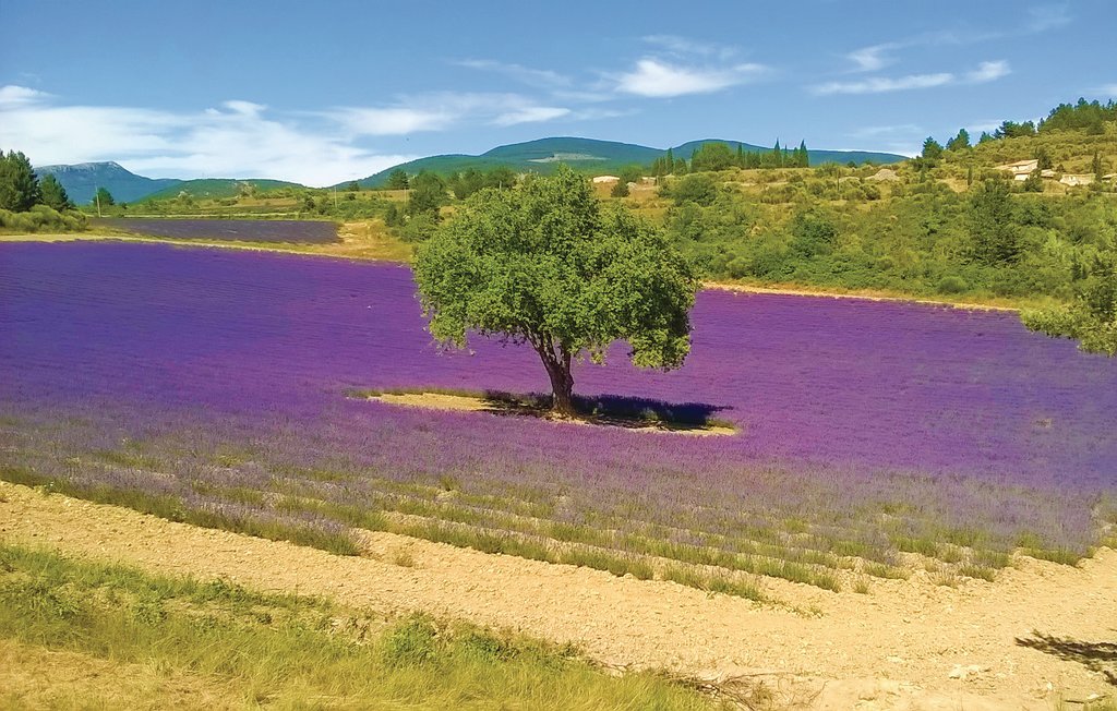 Semesterhus - Vaison La Romaine , Frankrike - FPV592 18