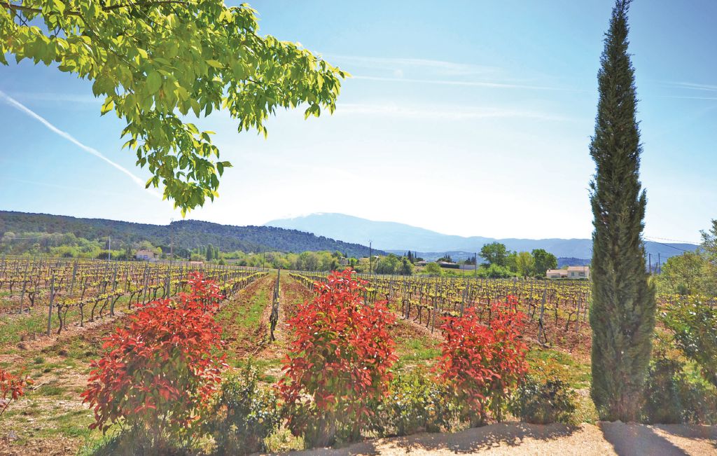 Ferienhaus - Vaison-La-Romaine , Frankreich - FPV276 14