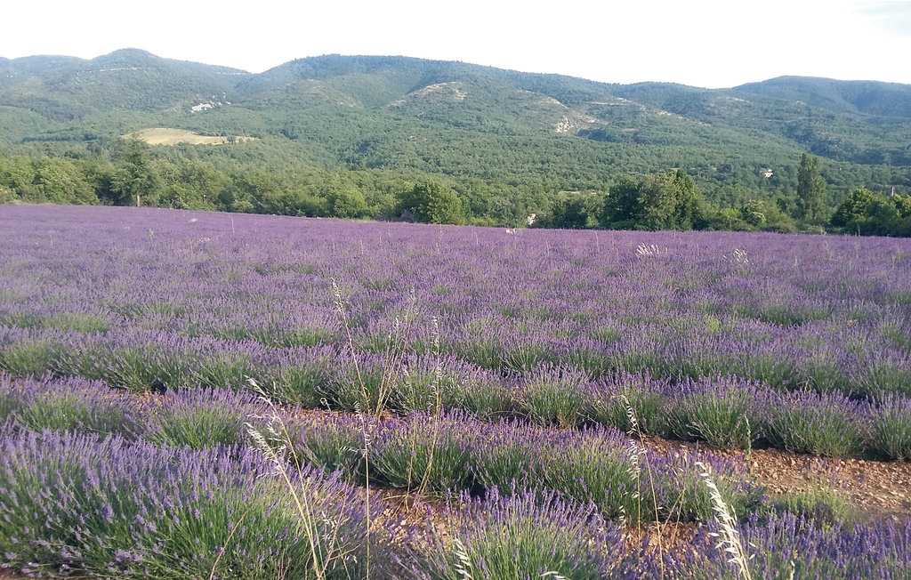 Ferienhaus - Apt , Frankreich - FPV444 29