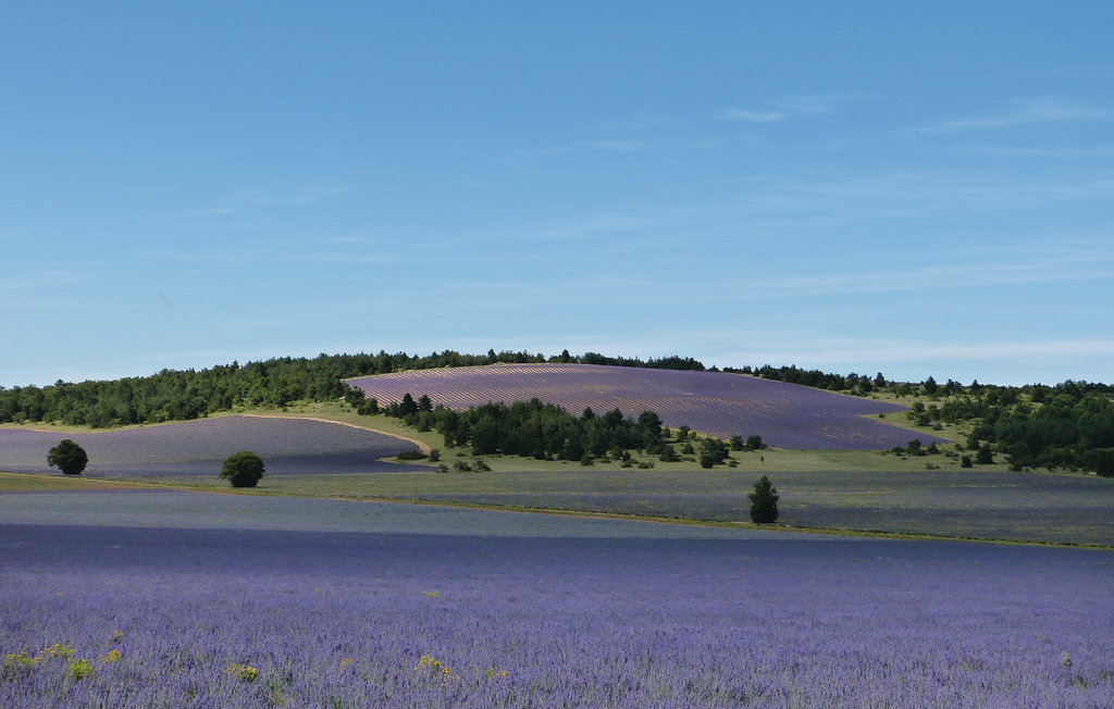Ferienhaus - Sault , Frankreich - FPV177 35