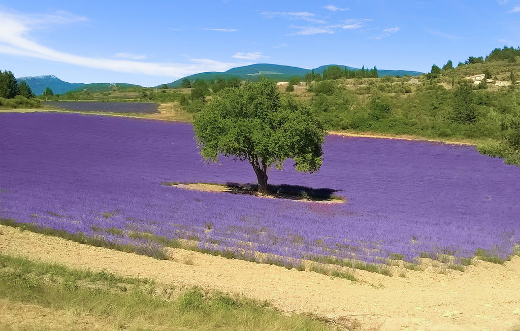 Ferienwohnung - Carpentras , Frankreich - FPV923 23