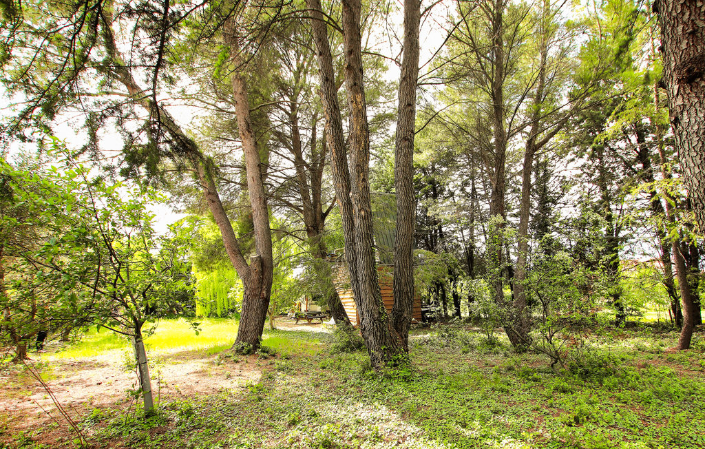 Feriehuse - Carpentras , Frankrig - FPV933 14