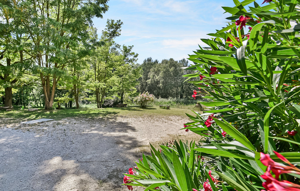 Location de vacances - Monteux , France - FPV938 7
