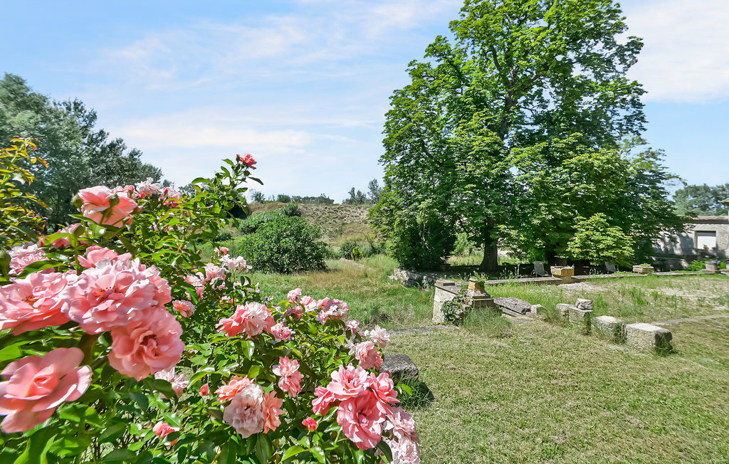 Location de vacances - Monteux , France - FPV938 6