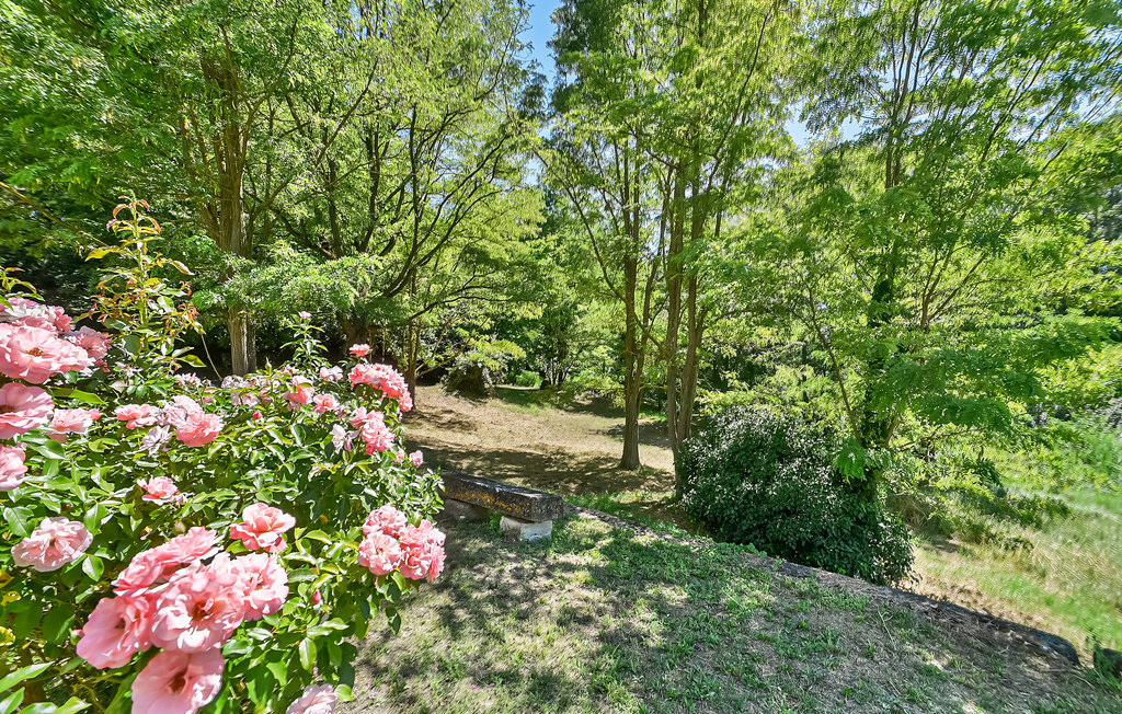 Location de vacances - Monteux , France - FPV938 16