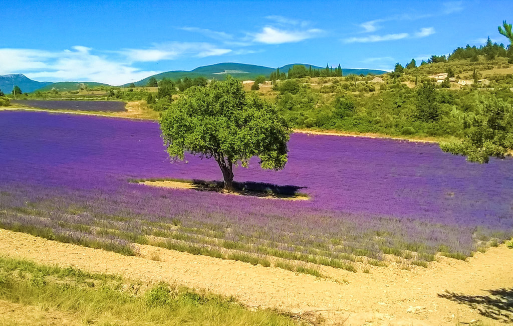 Semesterhus - Mazan , Frankrike - FPV965 19