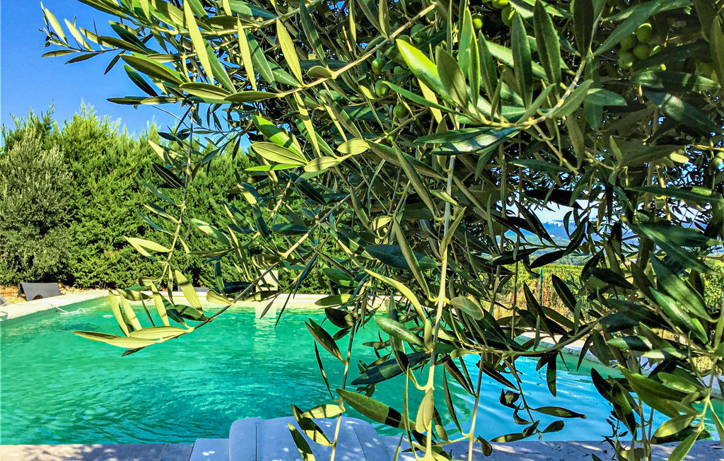 Verbringen Sie einen schönen Urlaub in diesem einladenden Ferienhaus mit privatem Pool.

Das Ferienhaus erwartet Sie auf einem Weingut mit privatem Pool, 3 km vom Stadtzentrum von Violès entfernt. S..
