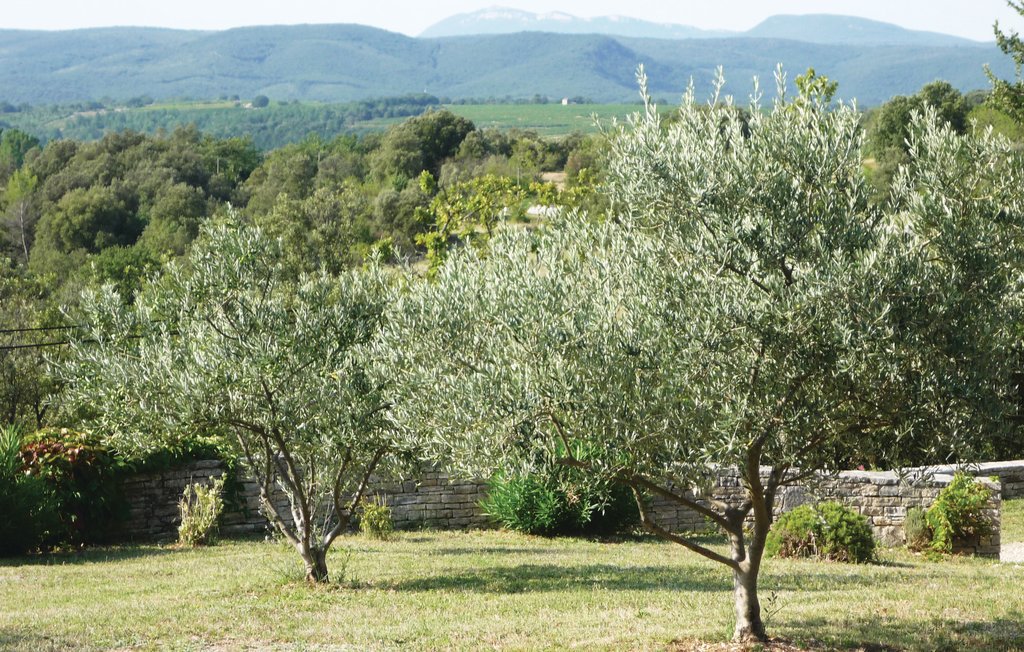 Location de vacances - Orgnac l'Aven , France - FRA142 3