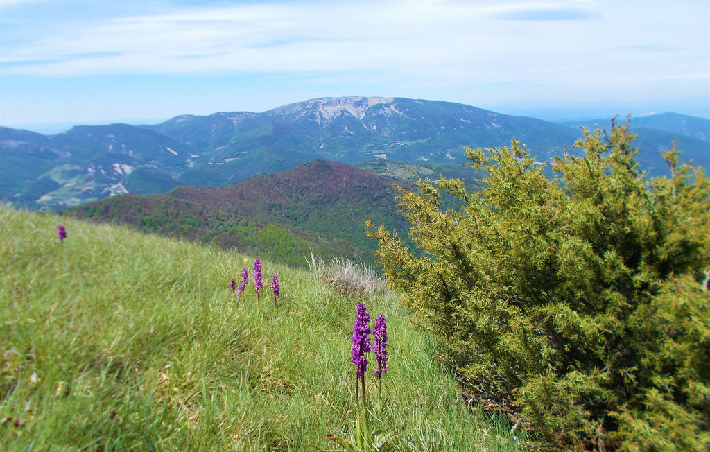 Feriehus - Ruoms , Frankrike - FRA251 15