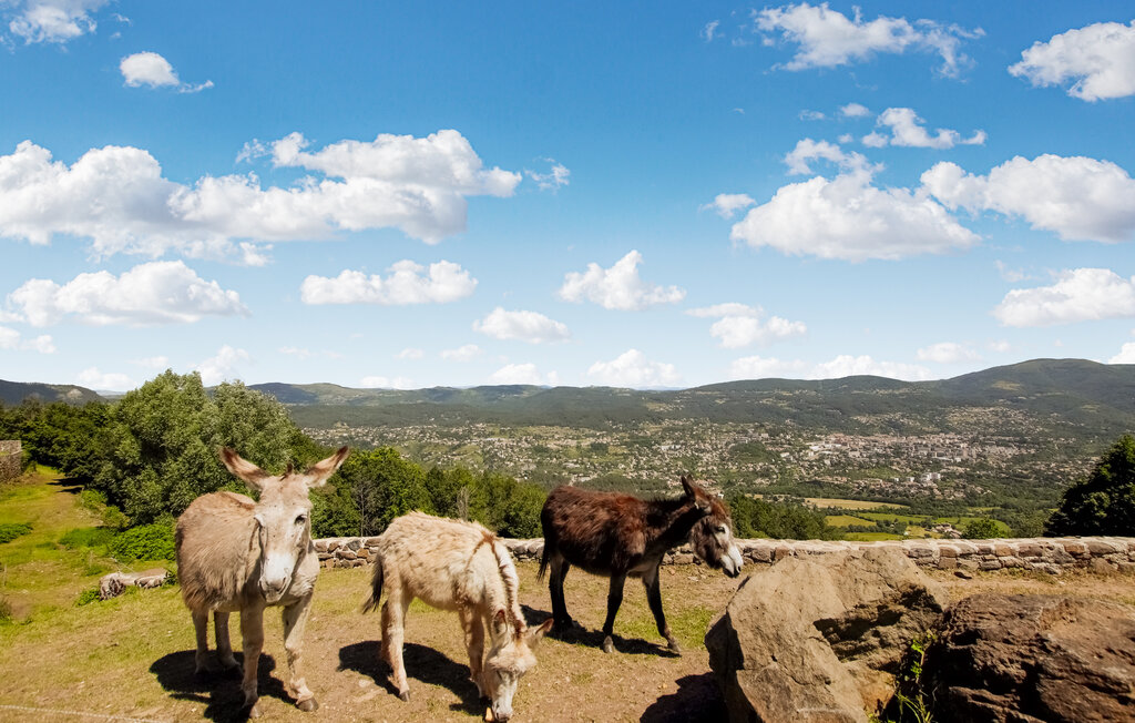 Location de vacances - Privas , France - FRA274 24