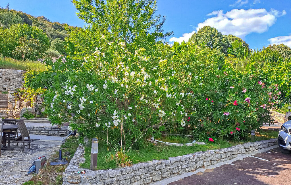 Ferienwohnung - Vallon pont d´arc , Frankreich - FRA252 24
