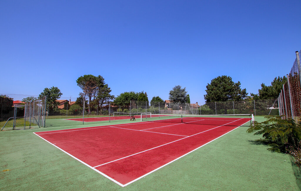 Location de vacances - Meyzieu , France - FRR009 31