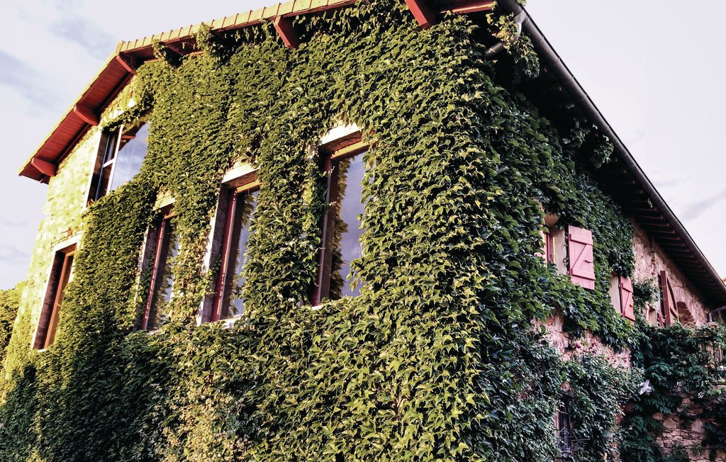 Holiday Home - Thizy-les-Bourgs , France - FRR002 83