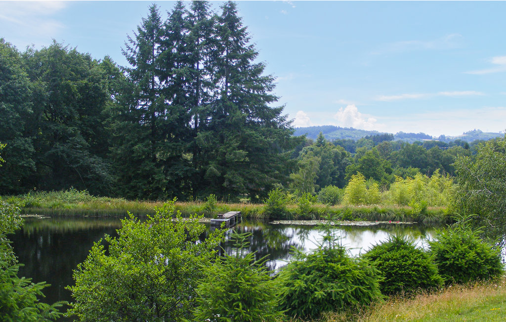 Feriehuse - Saint-Hilaires-les-Places , Frankrig - FSH048 4