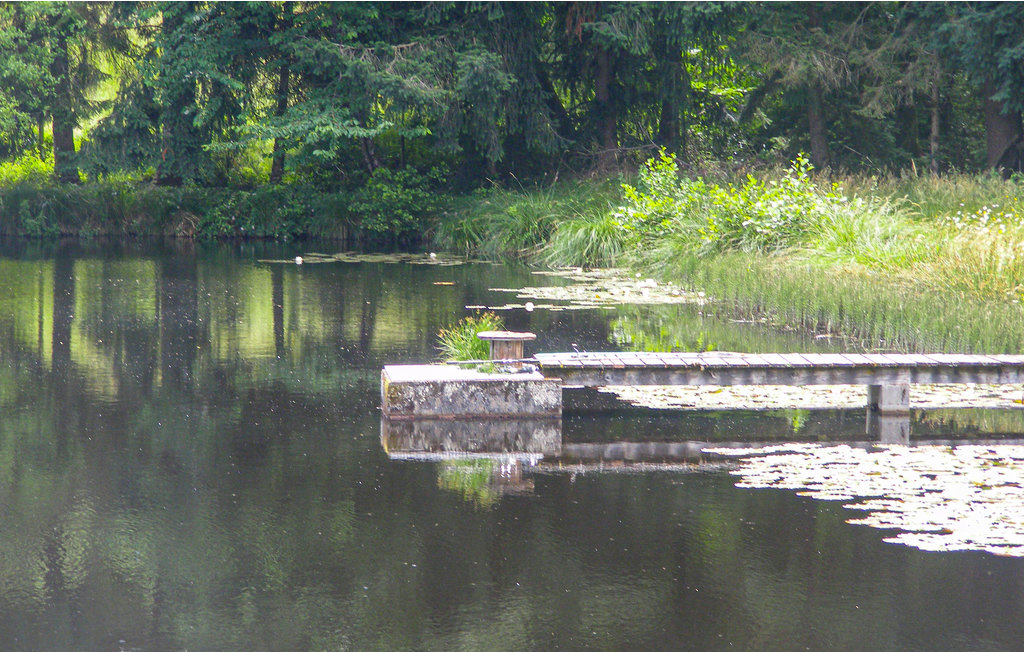 Feriehuse - Saint-Hilaires-les-Places , Frankrig - FSH048 12