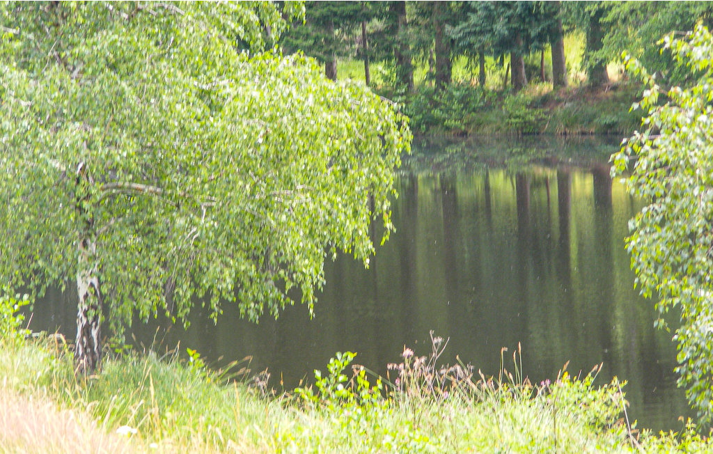 Feriehuse - Saint-Hilaires-les-Places , Frankrig - FSH048 13