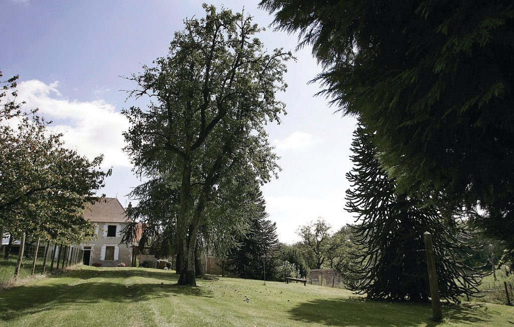 Maison de vacances Coussac Bonneval (FSH033)