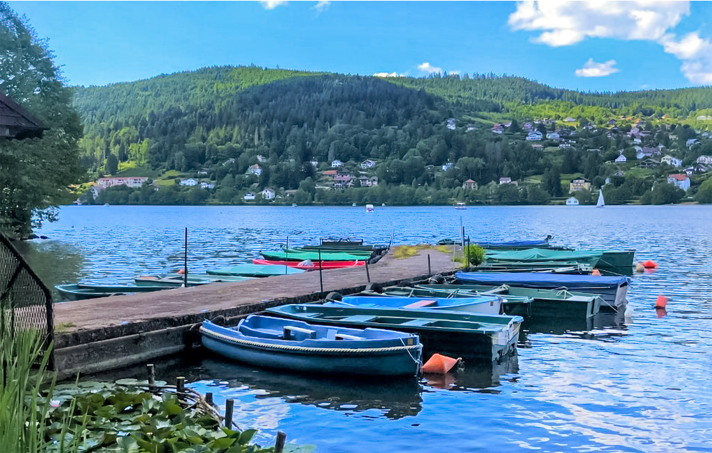 Ferienwohnung - Gerardmer , Frankreich - FTV026 20