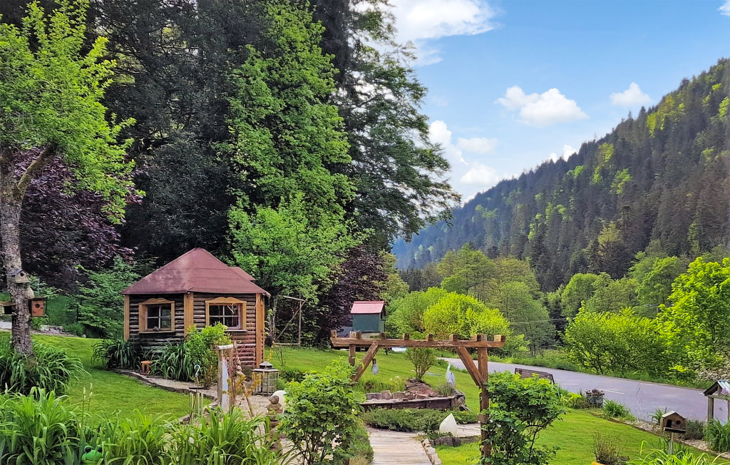 Location de vacances - Granges-Aumontzey , France - FTV030 1