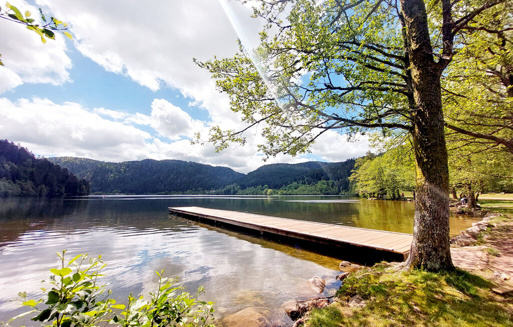 Ferienhaus - Xonrupt-Longemer , Frankreich - FTV042 19