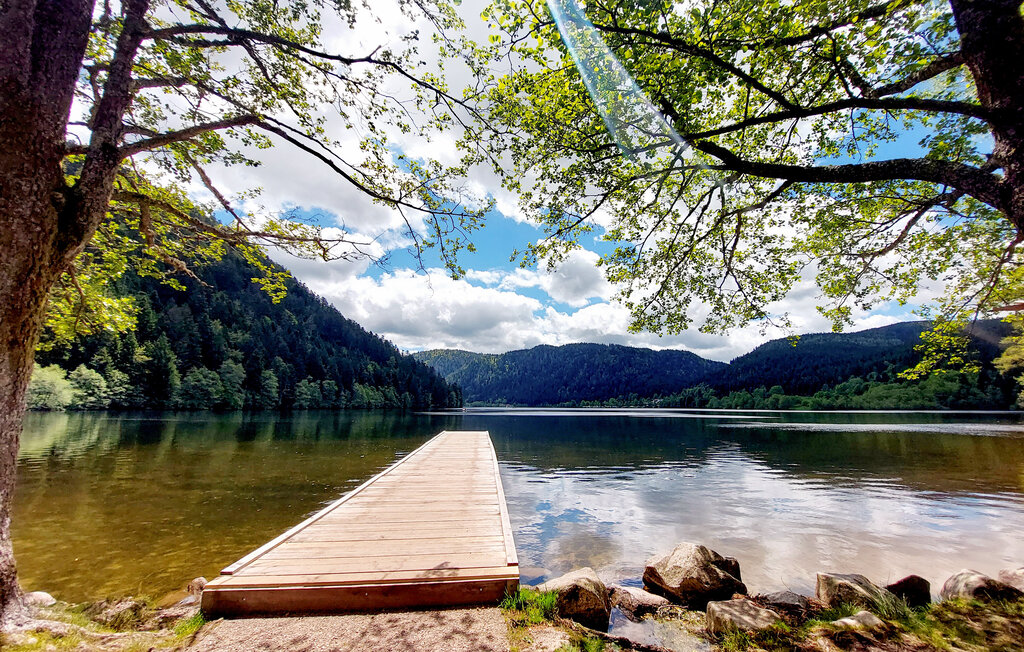 Ferienhaus - Xonrupt-Longemer , Frankreich - FTV042 20