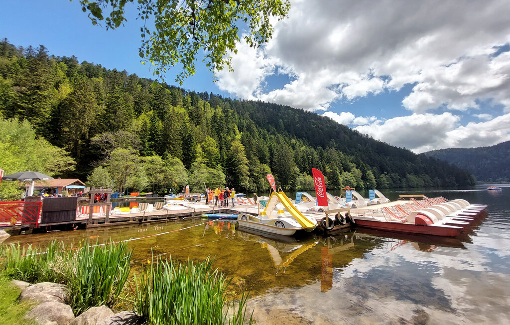 Ferienhaus - Xonrupt-Longemer , Frankreich - FTV042 21