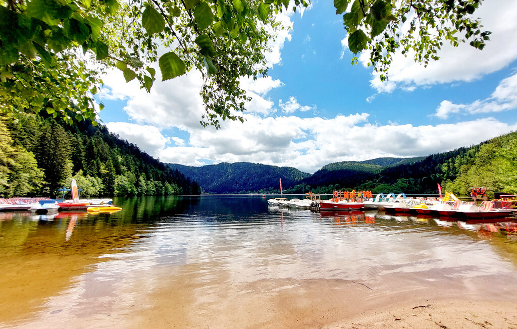 Ferienhaus - Xonrupt-Longemer , Frankreich - FTV042 23