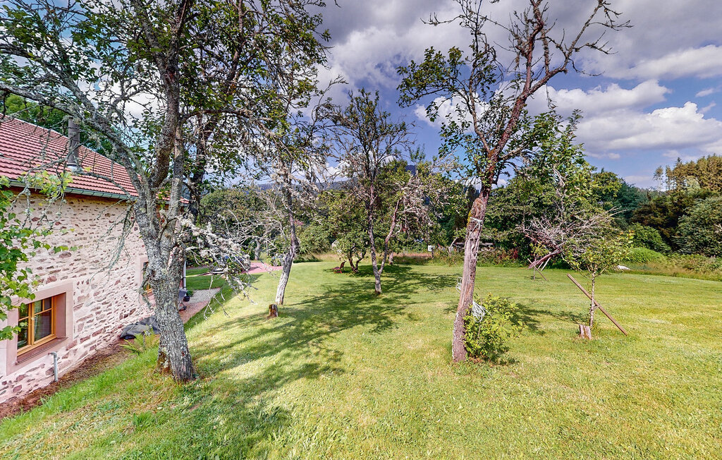 Feriehuse - Taintrux , Frankrig - FTV044 10