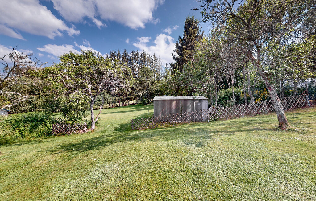 Feriehuse - Taintrux , Frankrig - FTV044 7