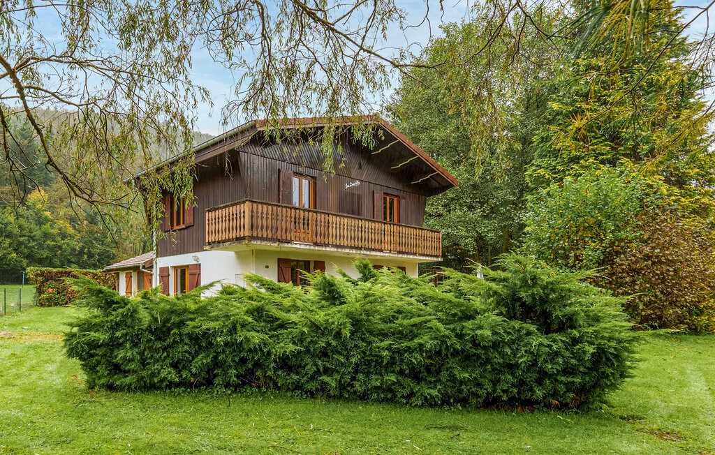 Feriehuse - Saulxures-sur-Moselotte , Frankrig - FTV048 1