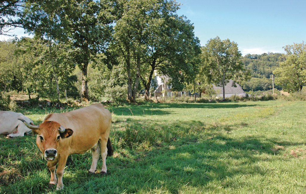Location de vacances - Riom-ès-Montagnes , France - FUC012 13