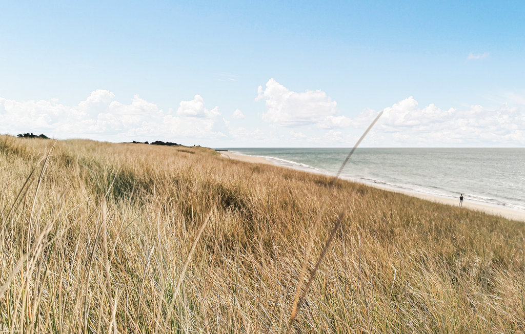 Semesterhus - Noirmoutier en l'Ile, Le Vieil , Frankrike - FVE362 15