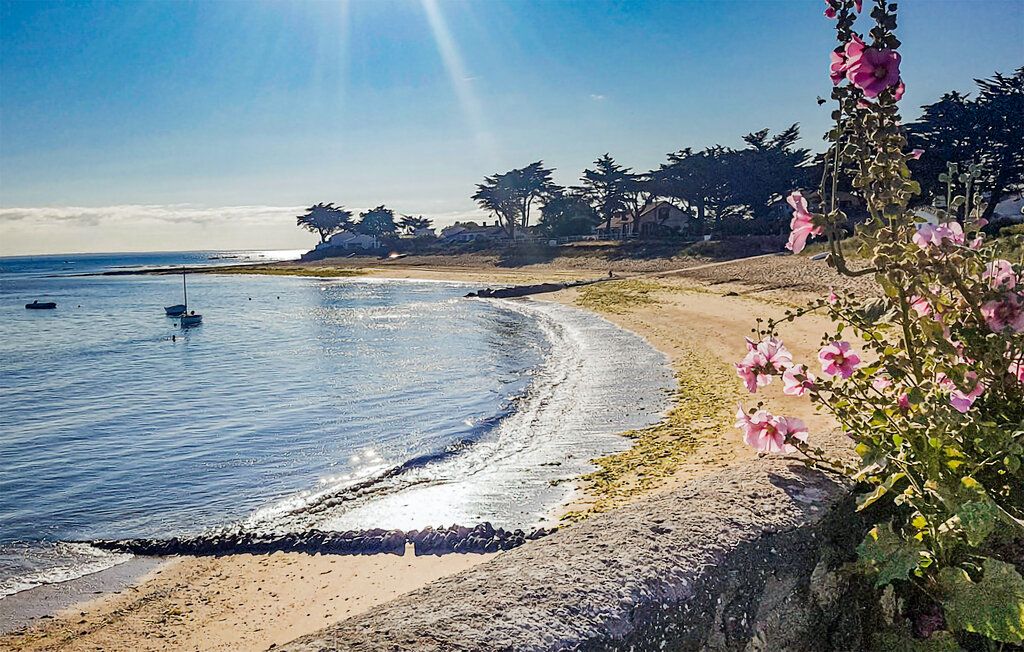 Ferienhaus - Barbâtre (Ile de Noirmoutier) , Frankreich - FVE384 20