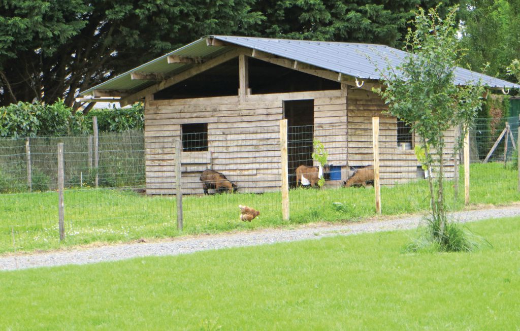 Feriehus - Brain-sur-Allonnes , Frankrike - FVM038 11