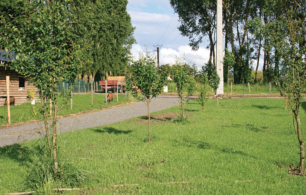 Bild 11 Bild 11