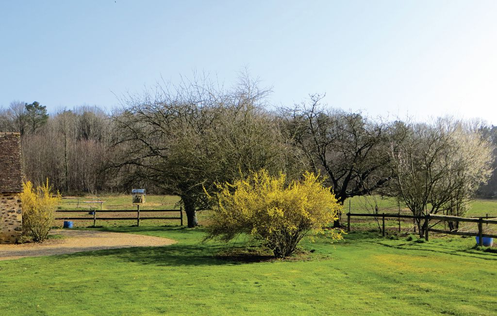 Feriehuse - Domfront en Champagne , Frankrig - FVS016 9
