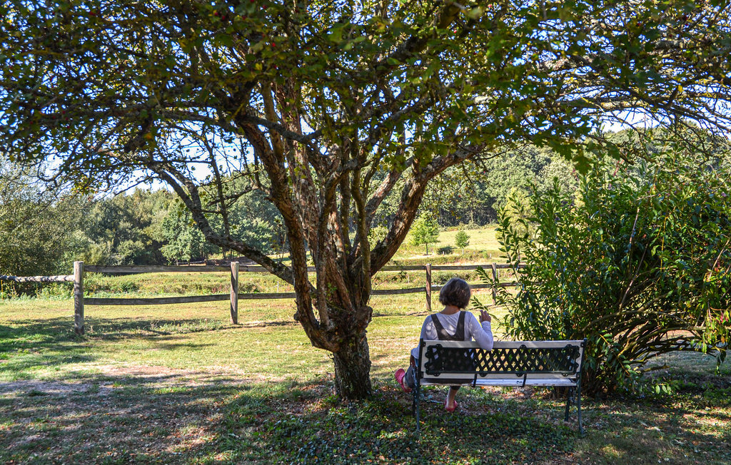 Feriehuse - Domfront en Champagne , Frankrig - FVS016 13