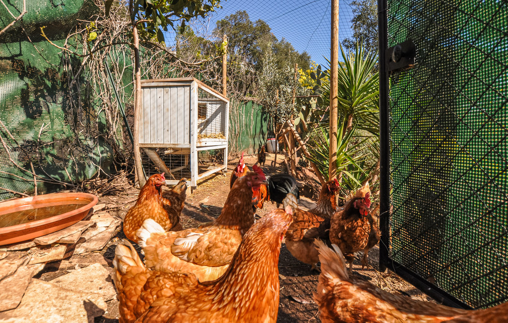 Feriehuse - Fréjus , Frankrig - FVV016 28