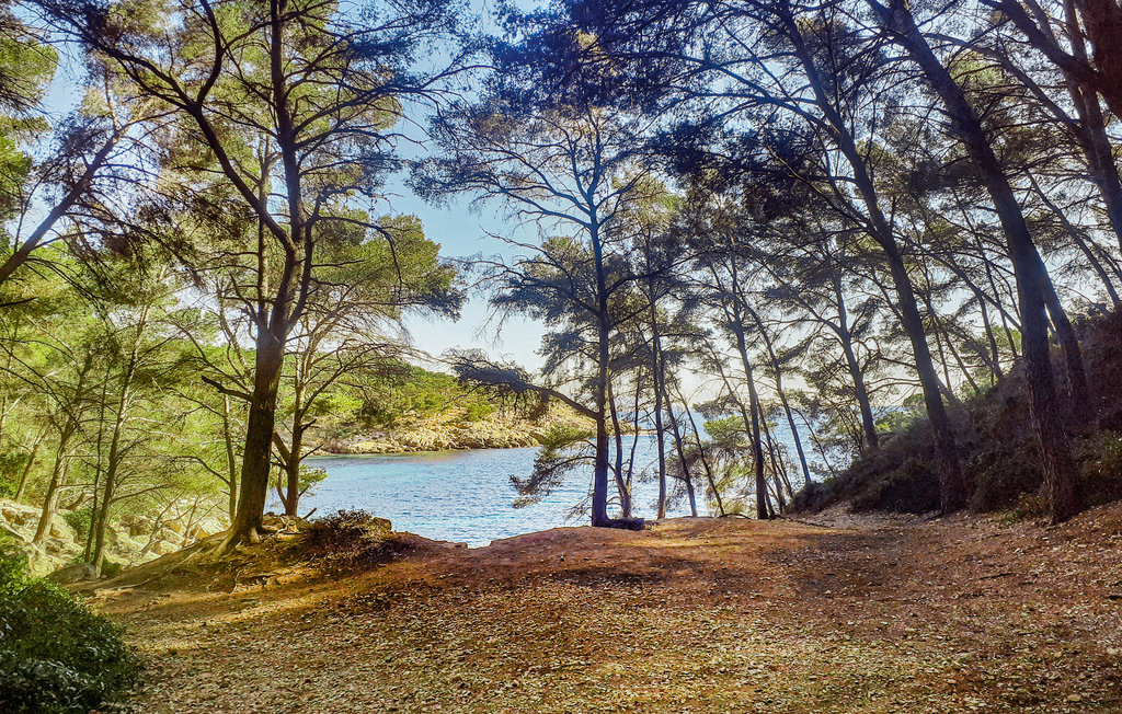 Ferienhaus - Saint Cyr Sur Mer , Frankreich - FVV036 31