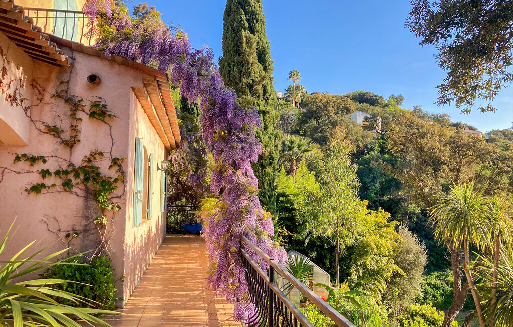 Feriehuse - Fréjus , Frankrig - FVV016 19