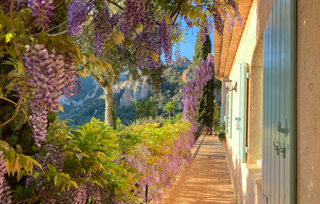 Feriehuse - Fréjus , Frankrig - FVV016 29