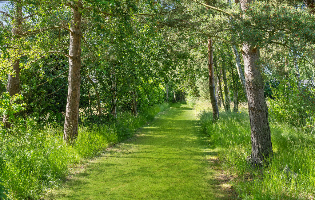 Ferienhaus - Marielyst Strand , Dänemark - G0292 15