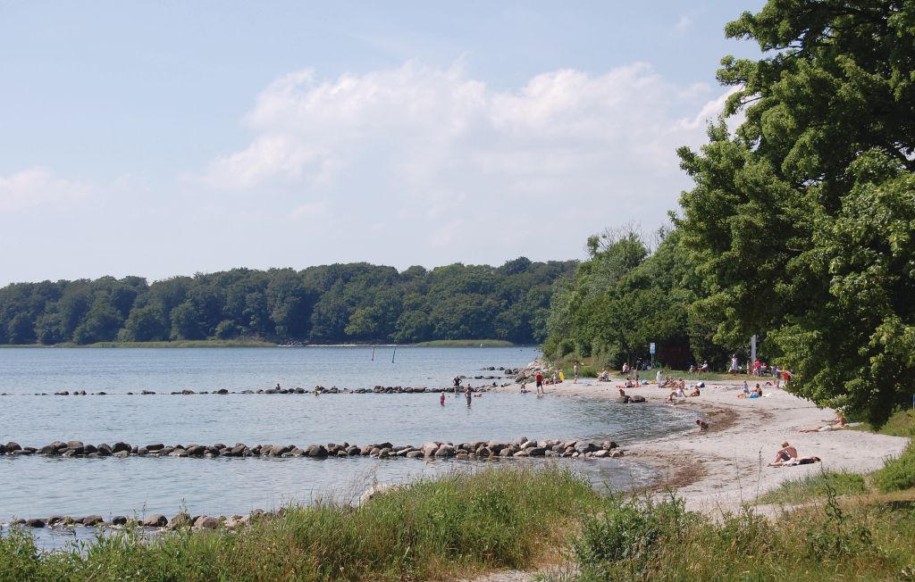 Bild 19